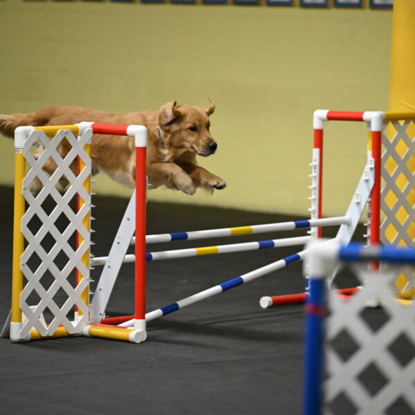 Valley-Johnson-10946