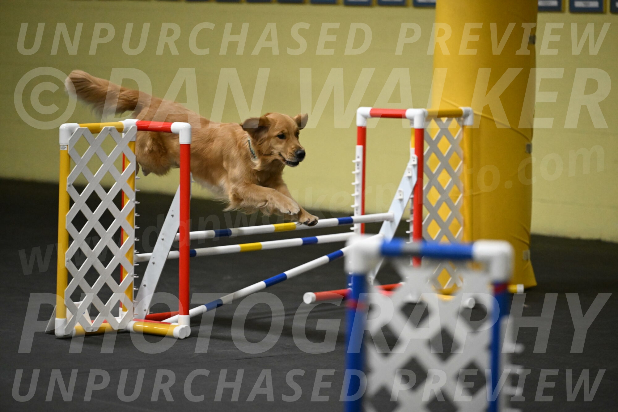 Valley-Johnson-10947