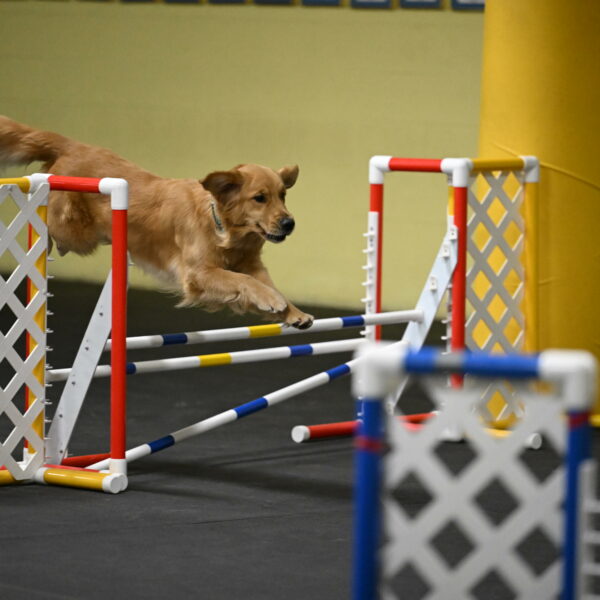 Valley-Johnson-10947