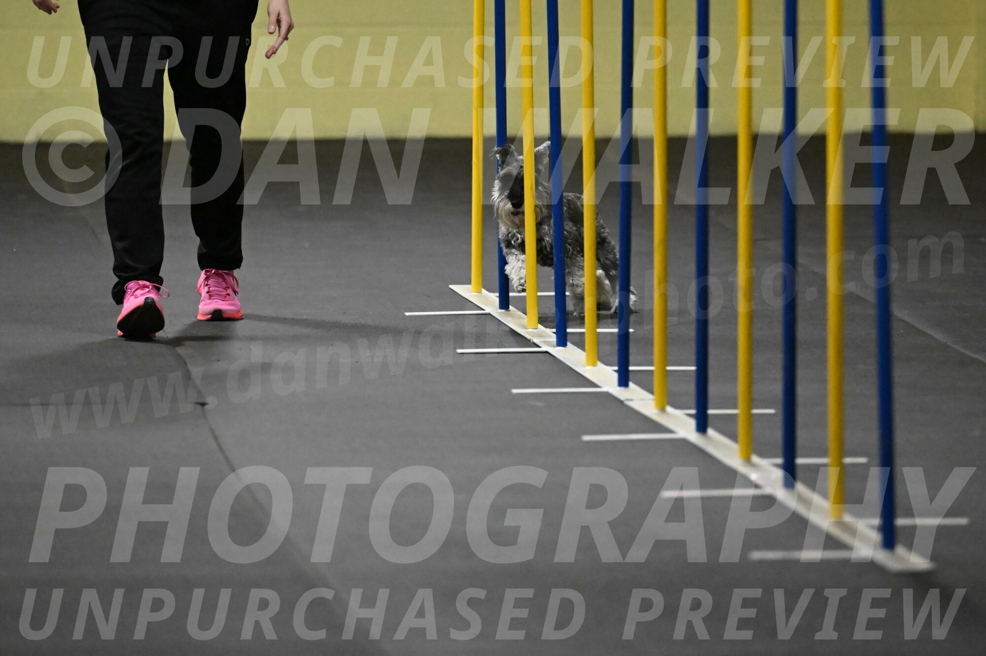 Wilson-Mattern-13930