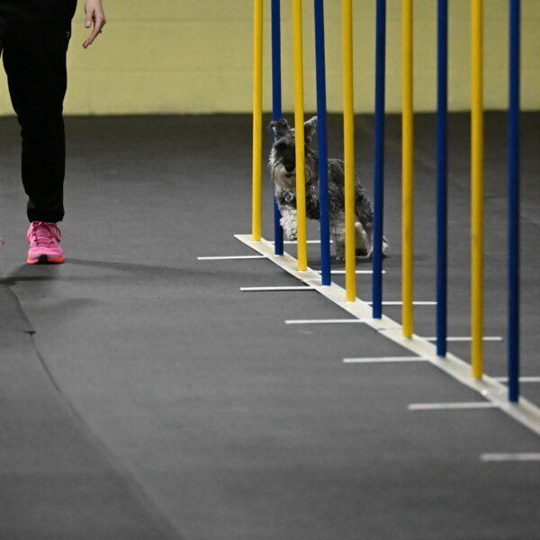 Wilson-Mattern-13930