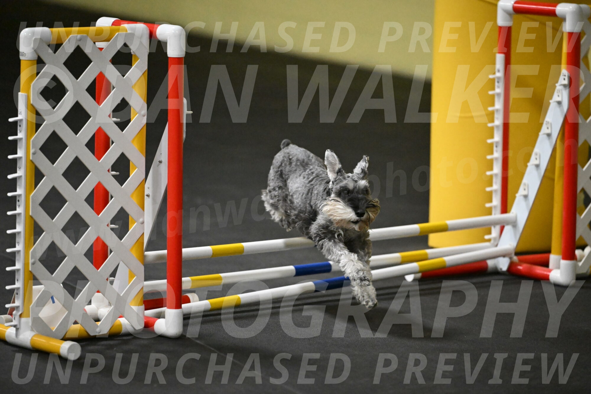 Wilson-Mattern-13968