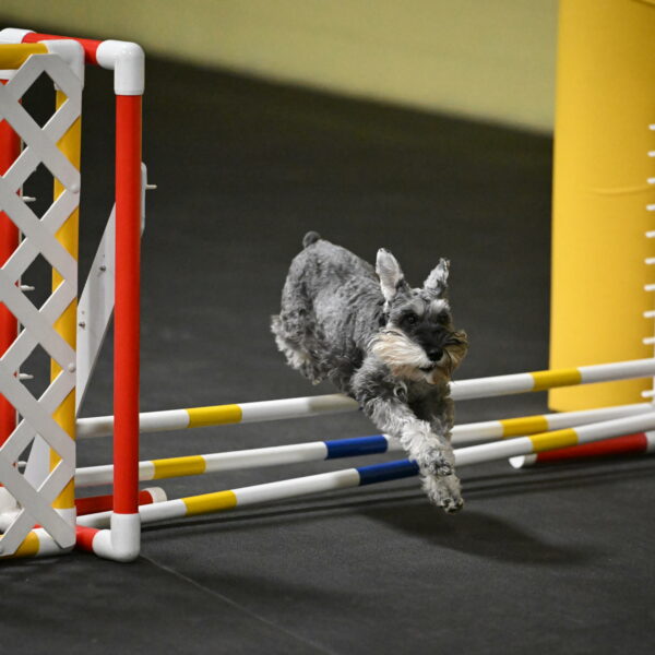 Wilson-Mattern-13968