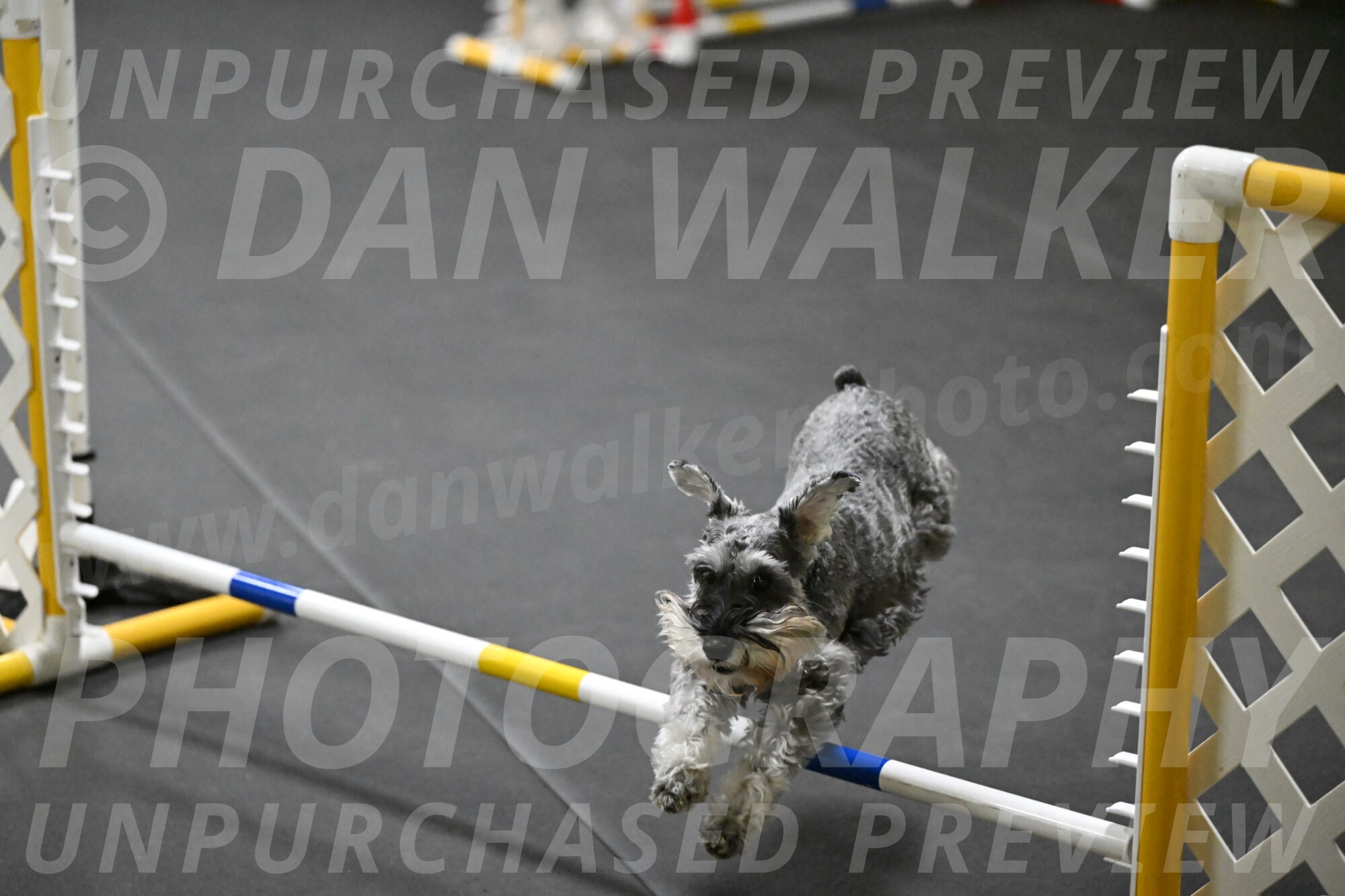 Wilson-Mattern-13972