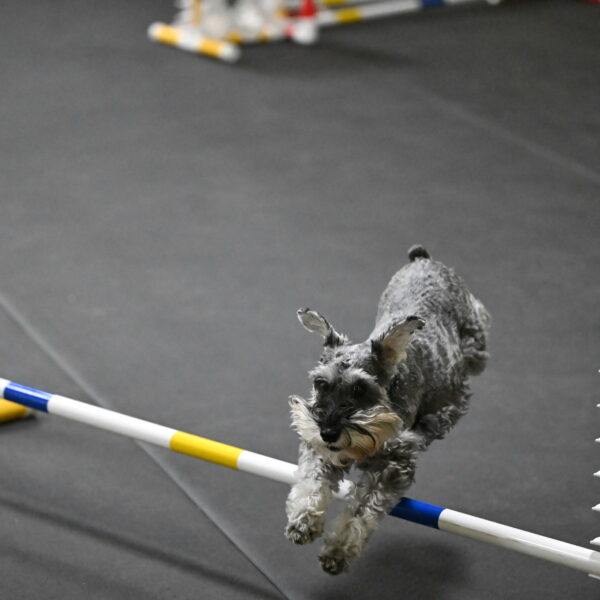 Wilson-Mattern-13972