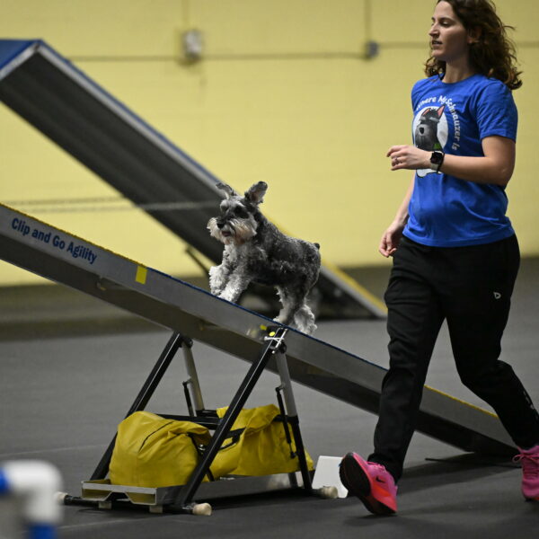 Wilson-Mattern-13976