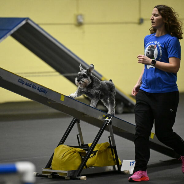 Wilson-Mattern-13977