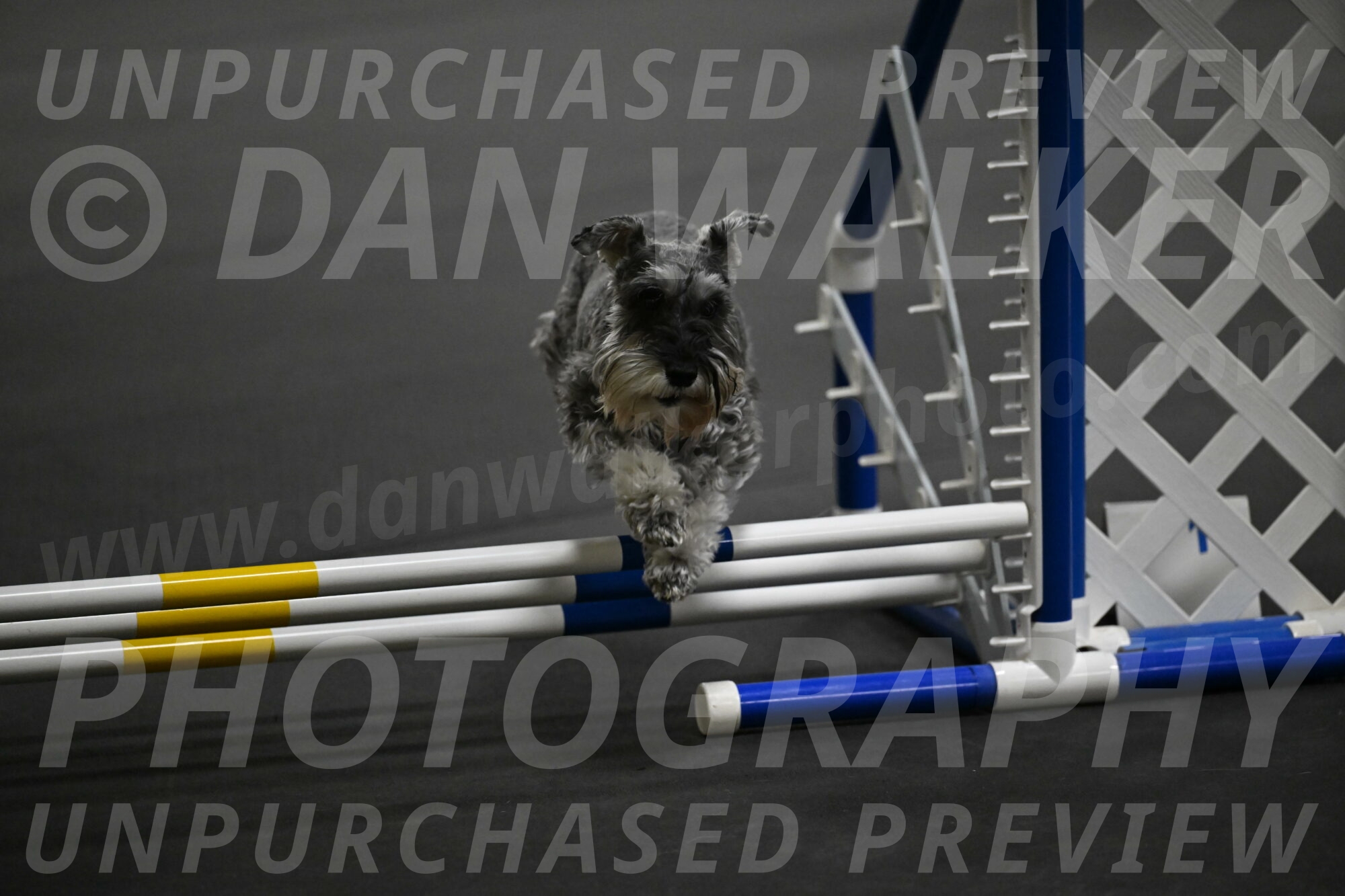 Wilson-Mattern-13993