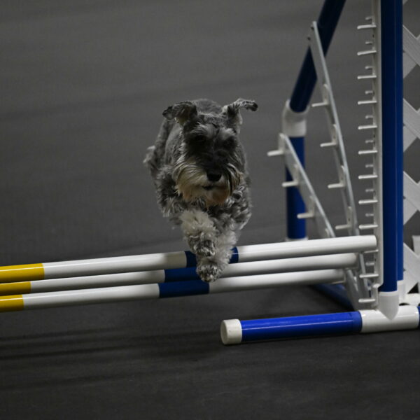 Wilson-Mattern-13993