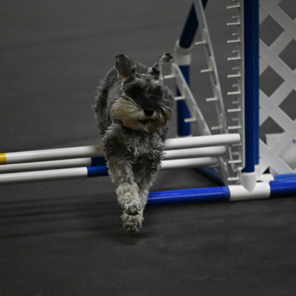 Wilson-Mattern-13994