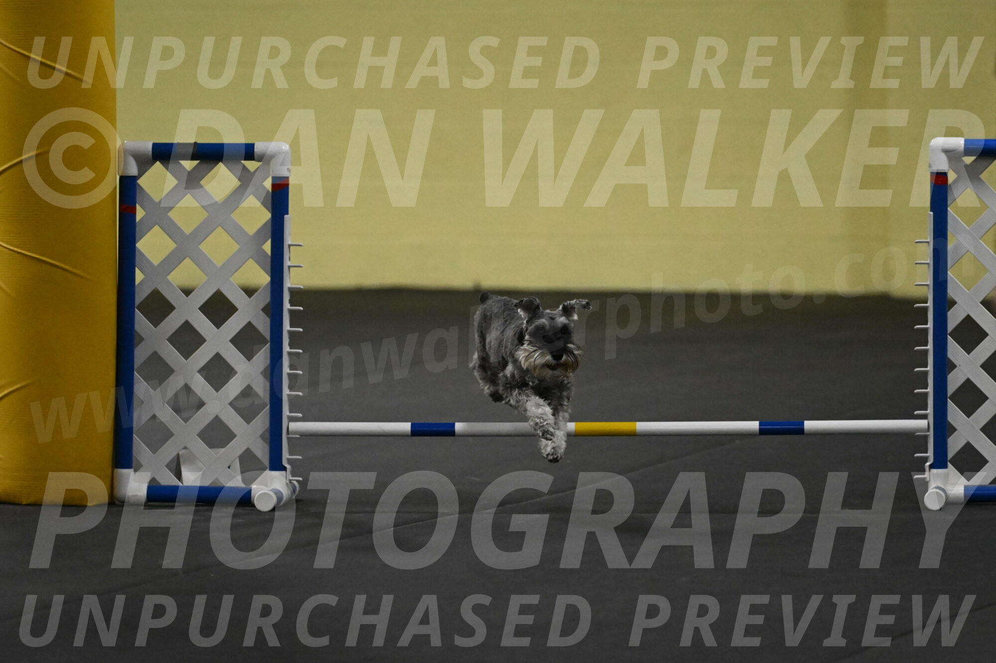 Wilson-Mattern-13995