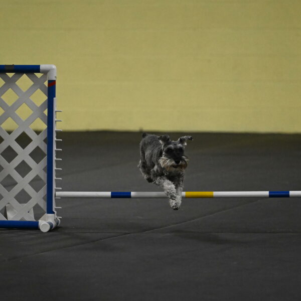 Wilson-Mattern-13995