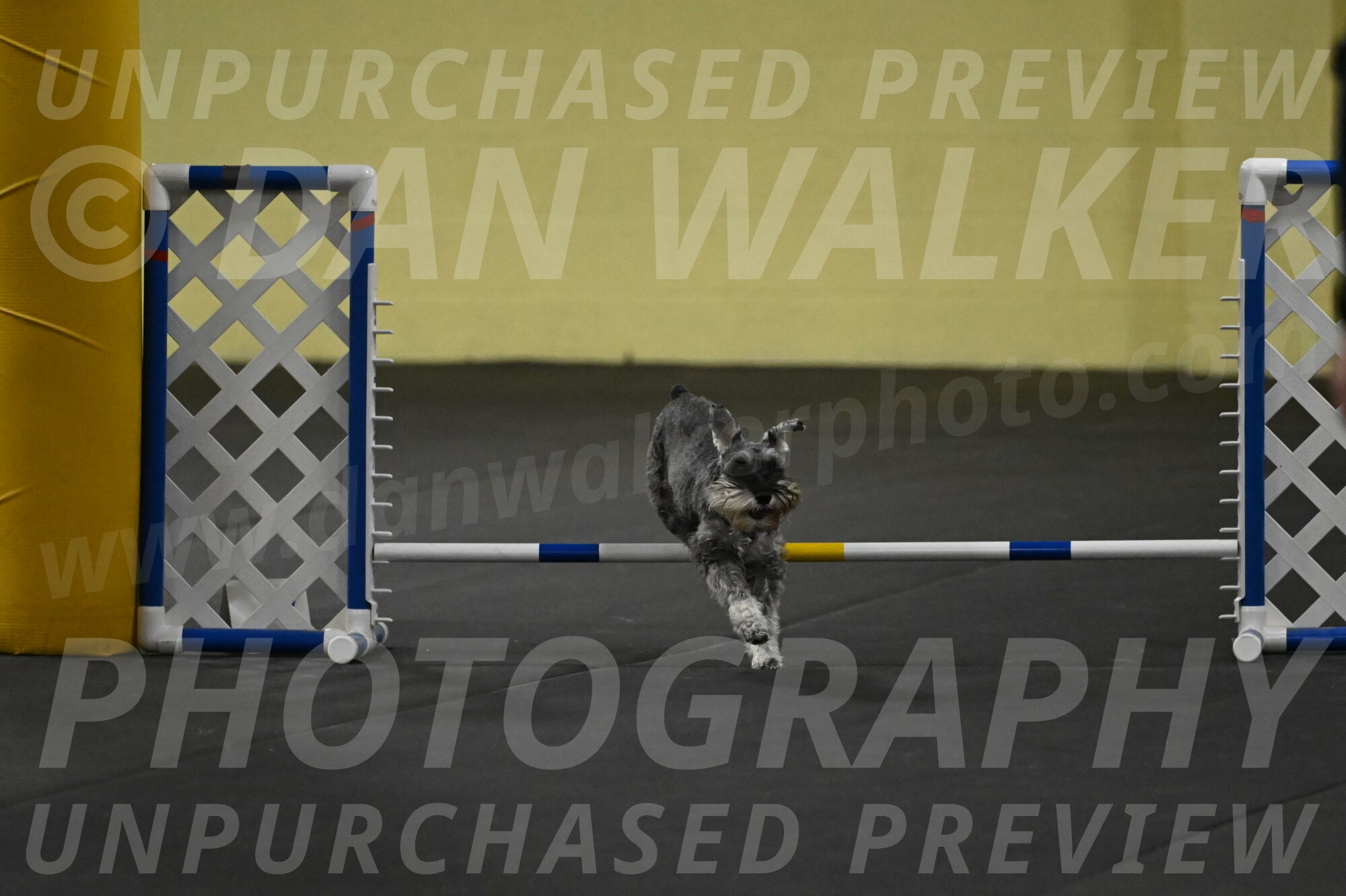 Wilson-Mattern-13996