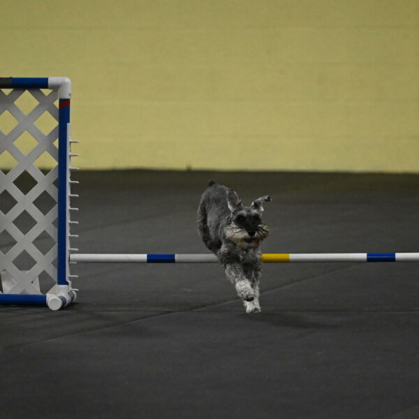 Wilson-Mattern-13996