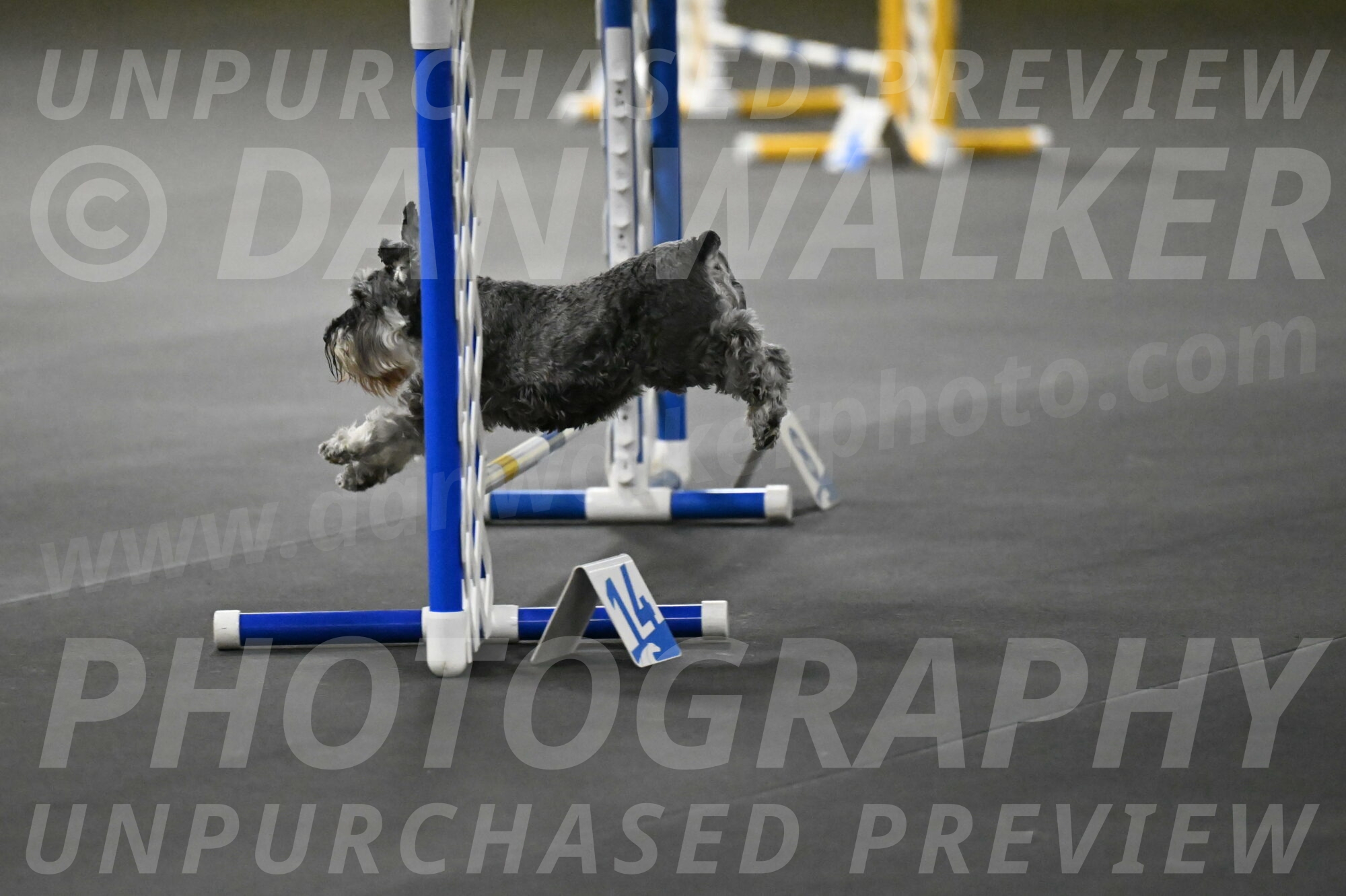 Wilson-Mattern-13999