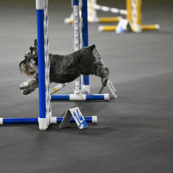 Wilson-Mattern-13999