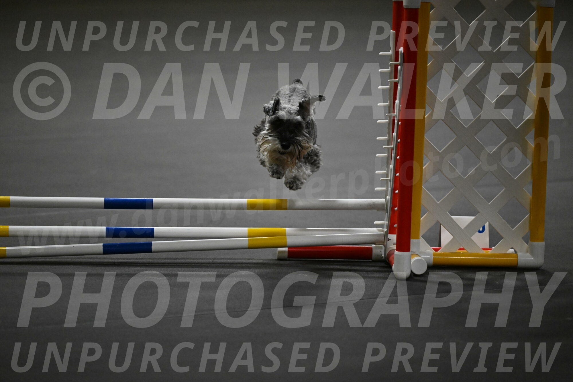 Wilson-Mattern-14004