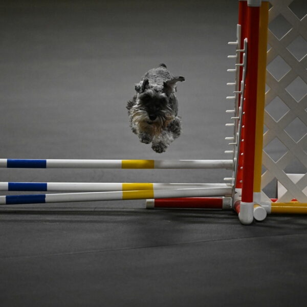 Wilson-Mattern-14004