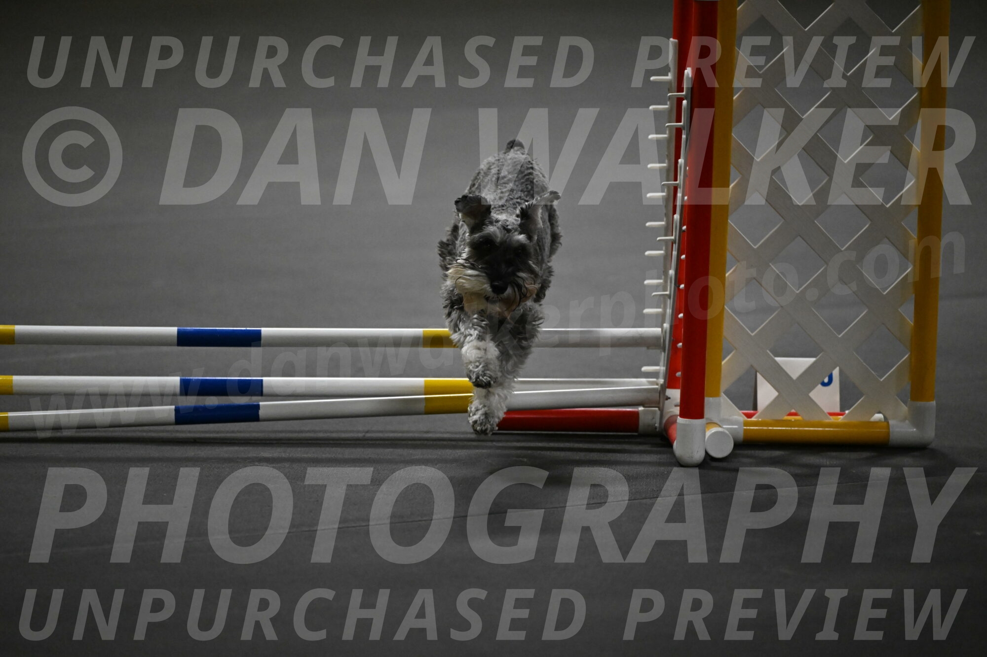 Wilson-Mattern-14005