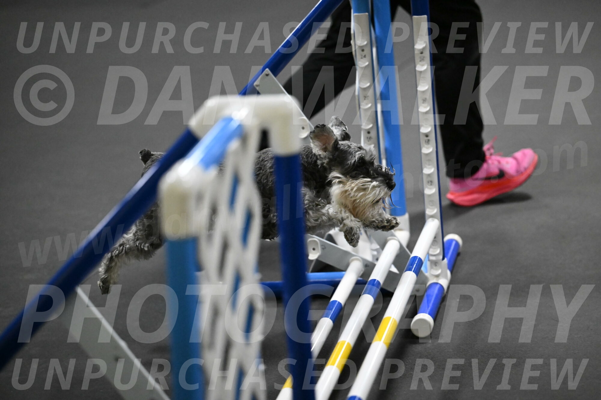 Wilson-Mattern-14011