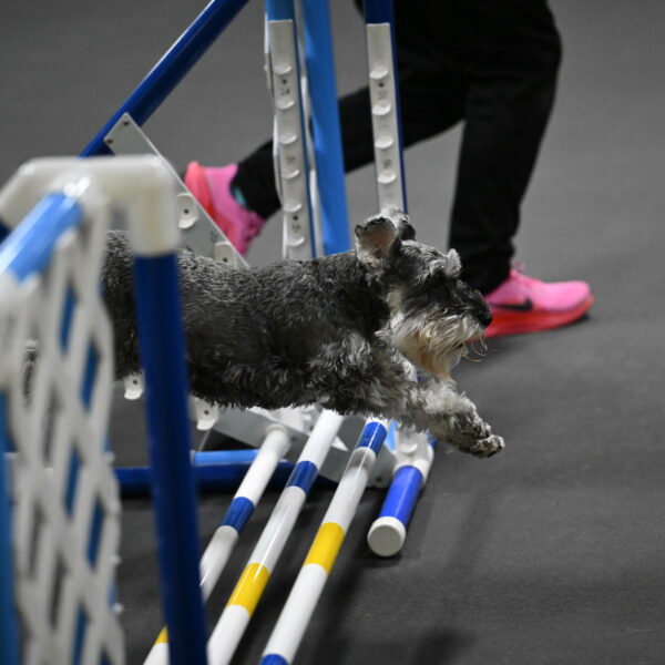 Wilson-Mattern-14012