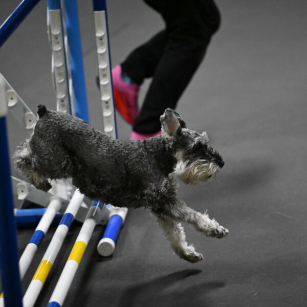 Wilson-Mattern-14013