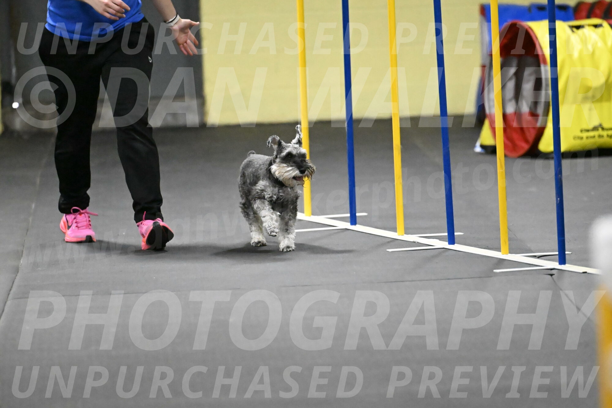 Wilson-Mattern-14015