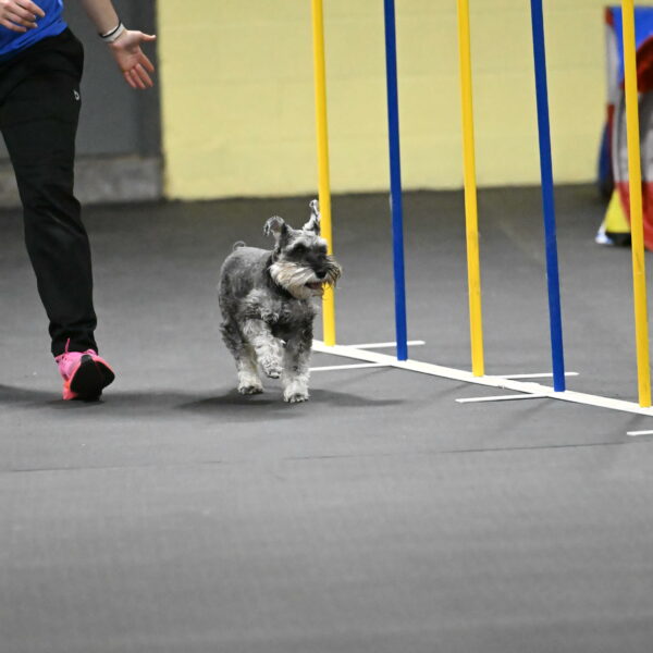 Wilson-Mattern-14015