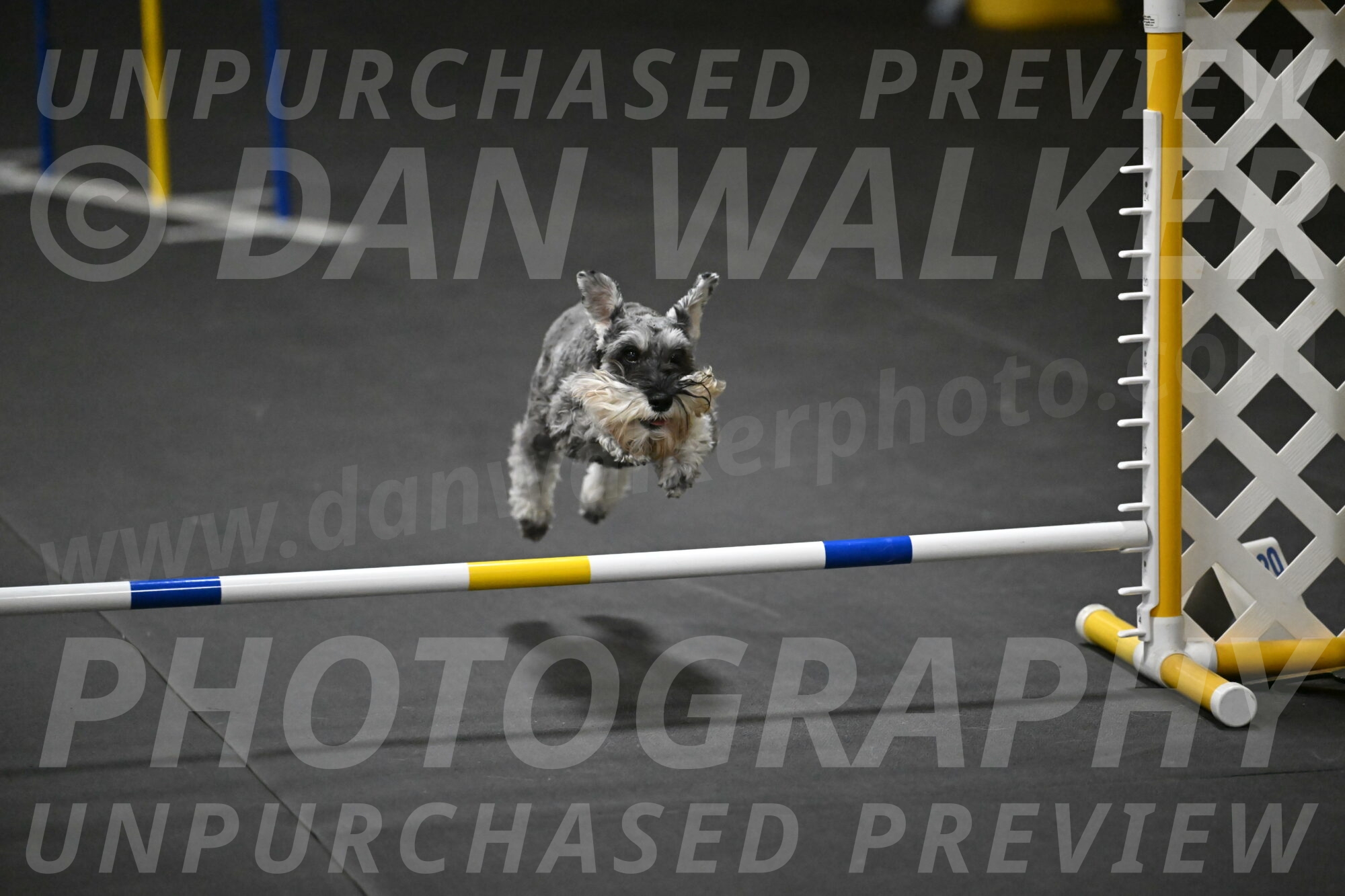 Wilson-Mattern-14029