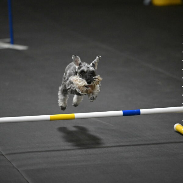 Wilson-Mattern-14029