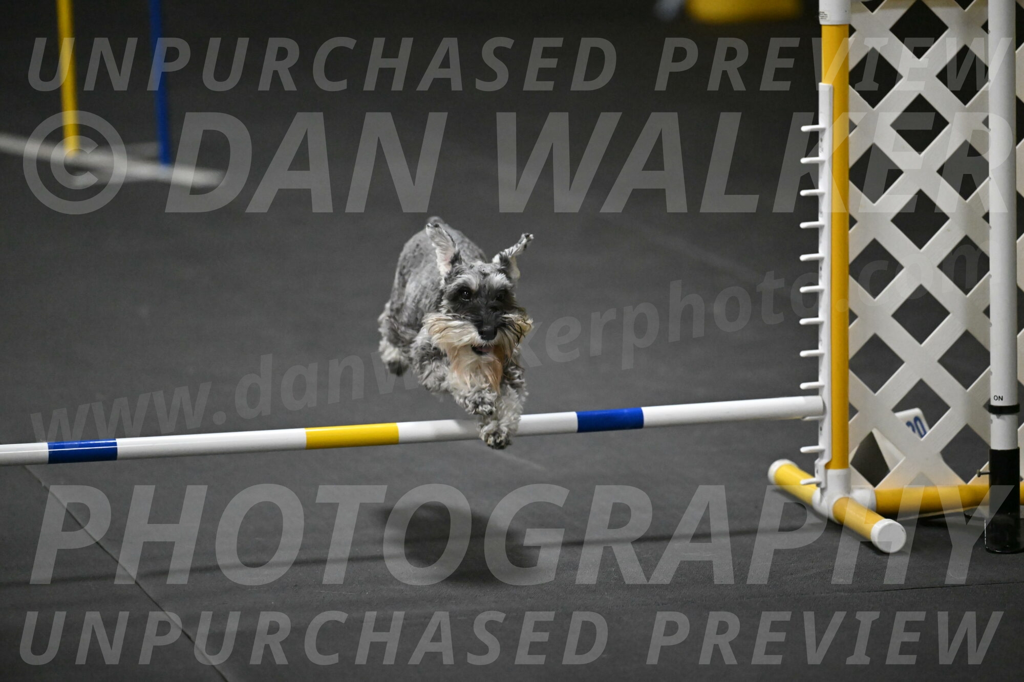 Wilson-Mattern-14030