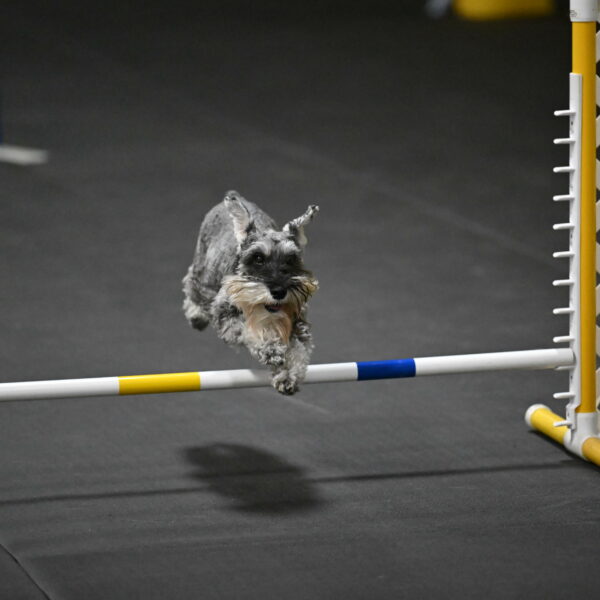 Wilson-Mattern-14030