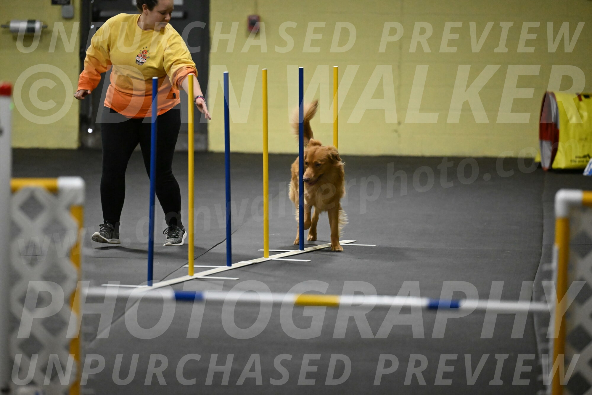 Zippity-Nemeth-12537