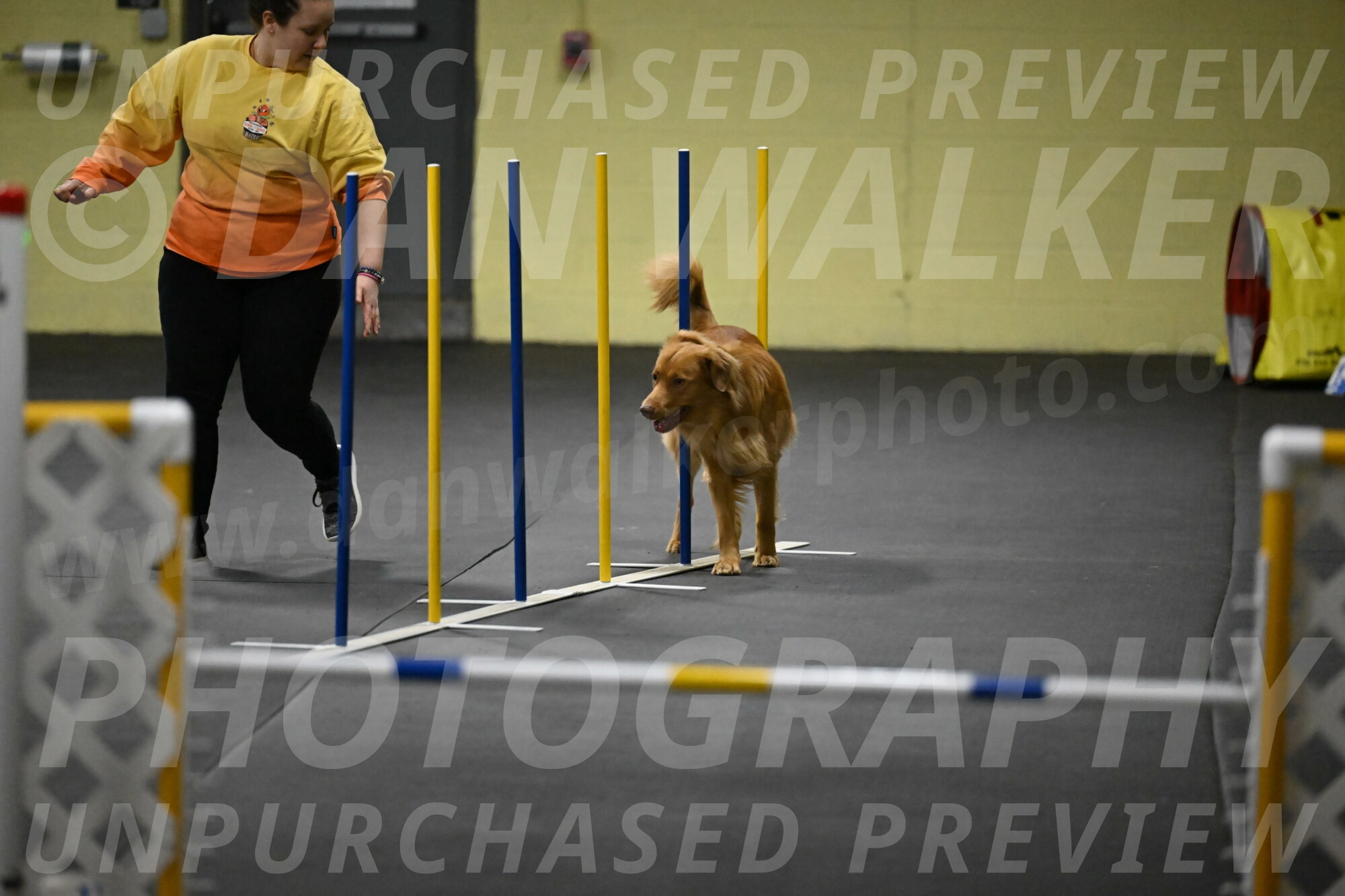 Zippity-Nemeth-12539