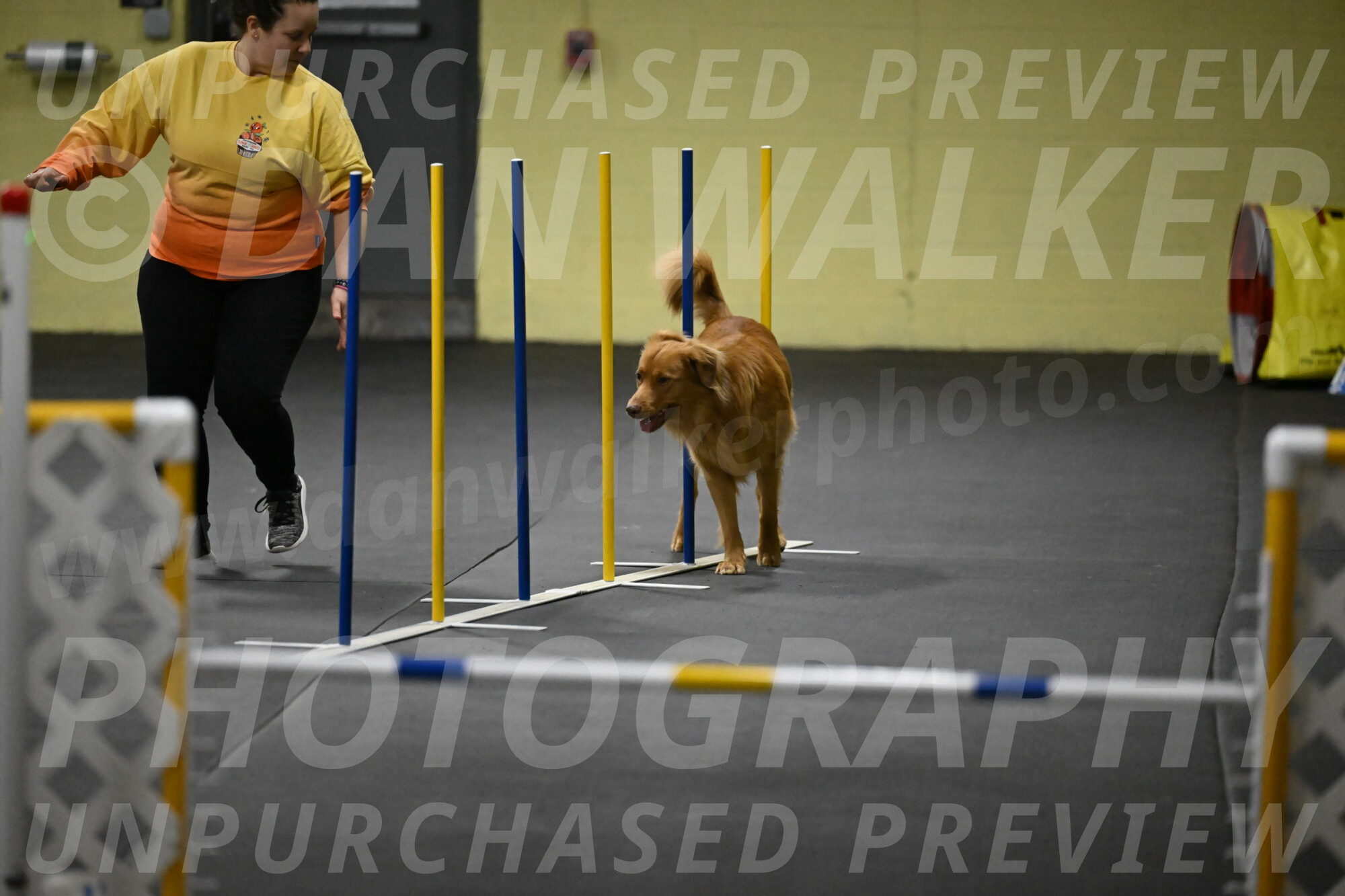 Zippity-Nemeth-12540