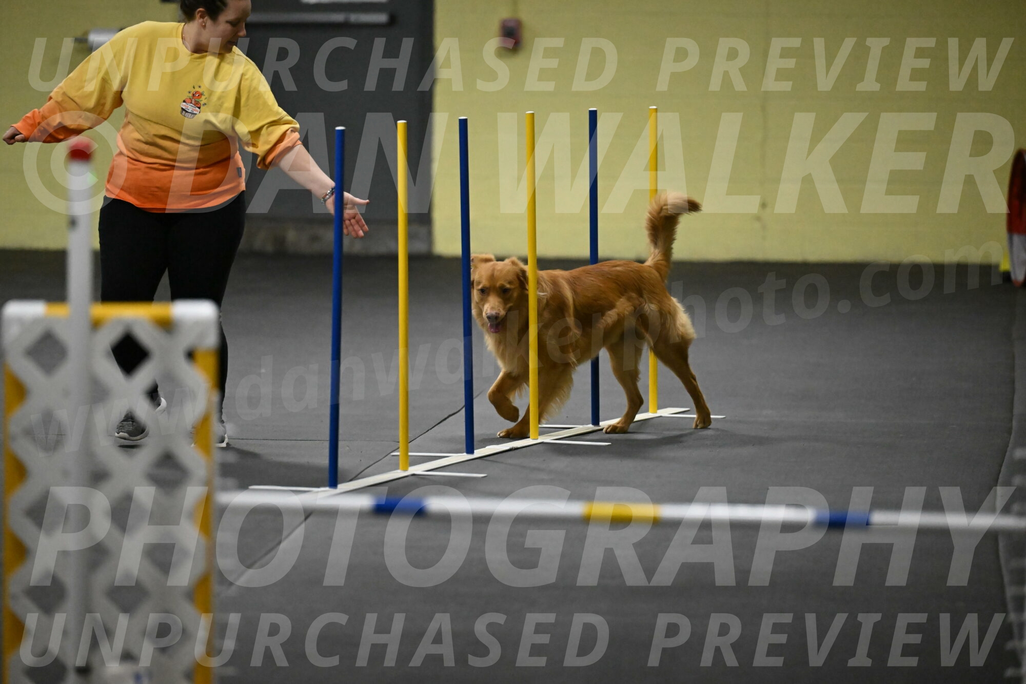 Zippity-Nemeth-12543