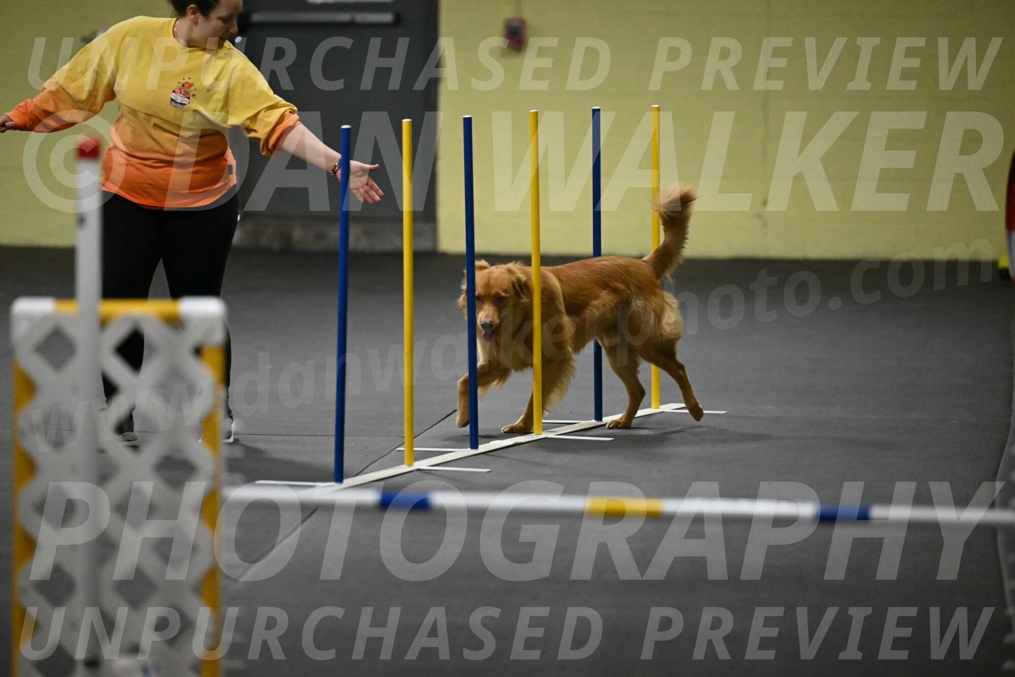 Zippity-Nemeth-12544