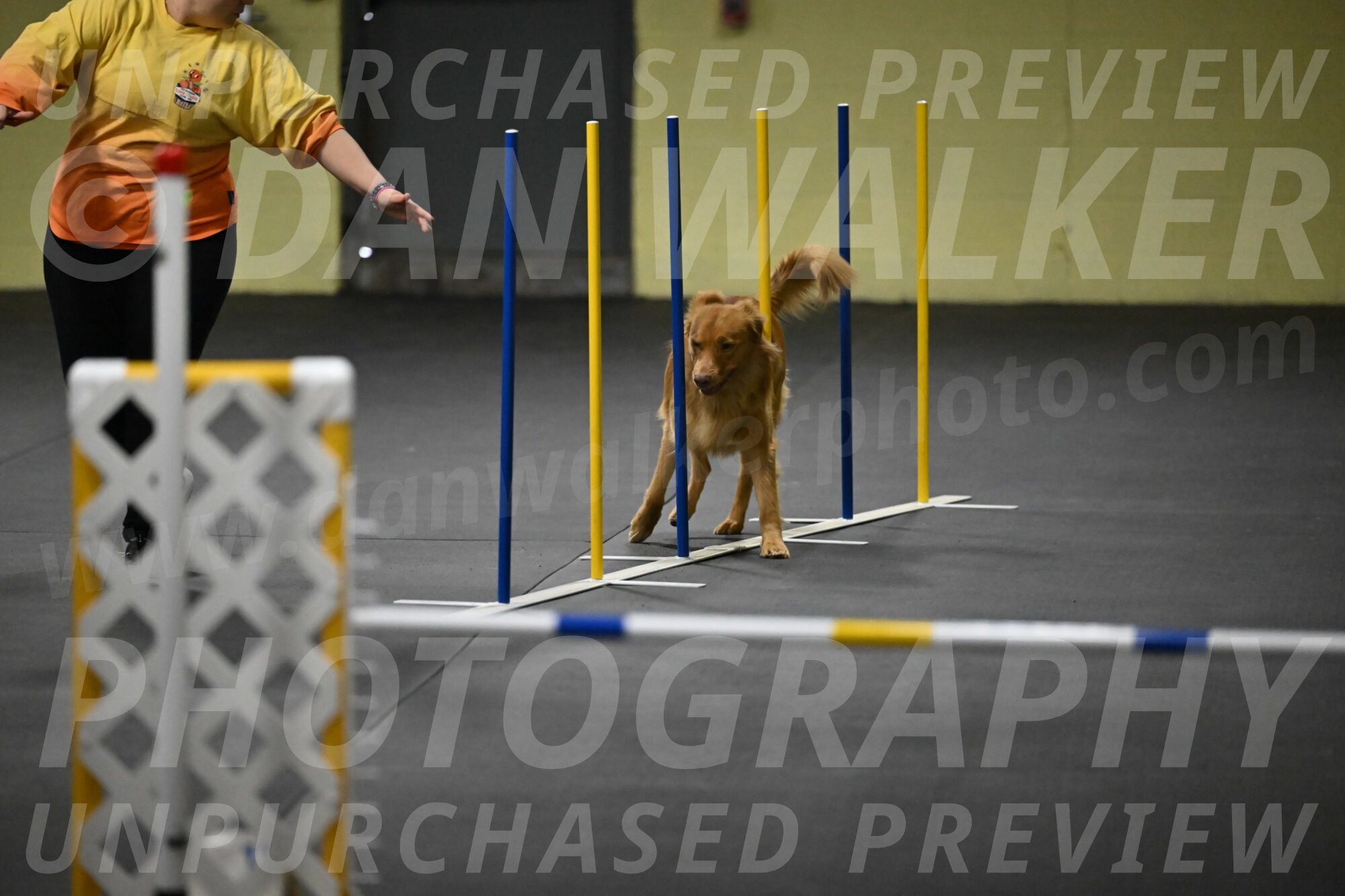 Zippity-Nemeth-12549