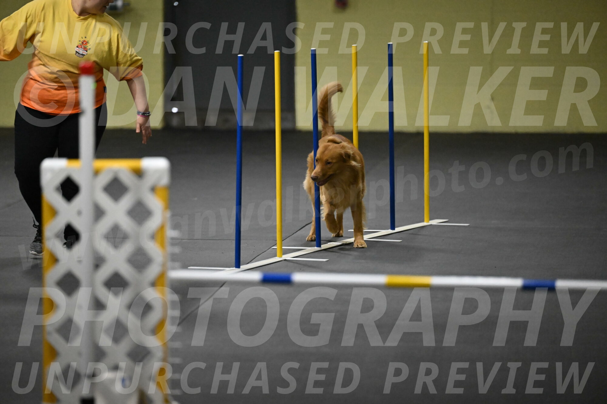 Zippity-Nemeth-12550