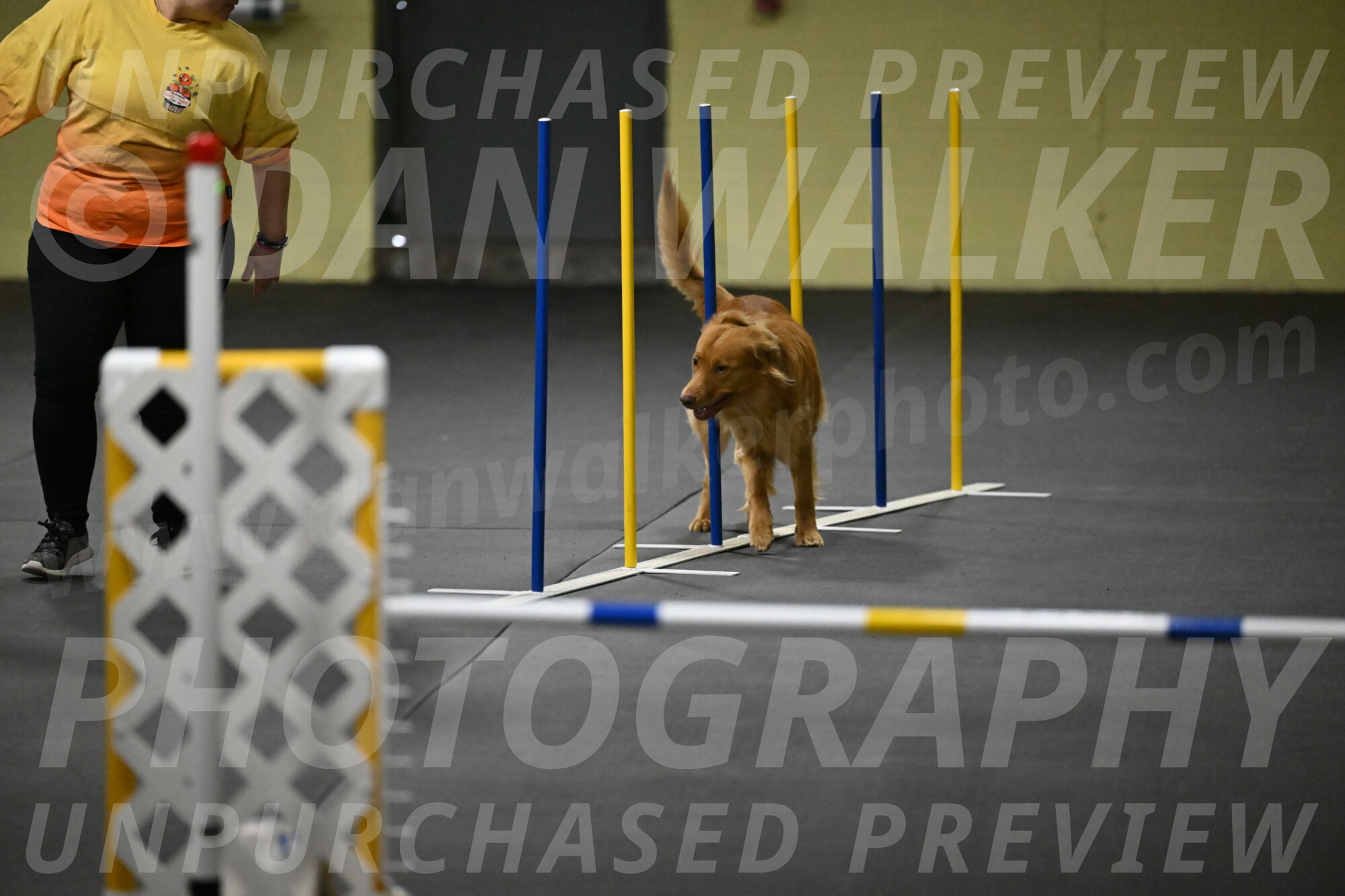 Zippity-Nemeth-12551