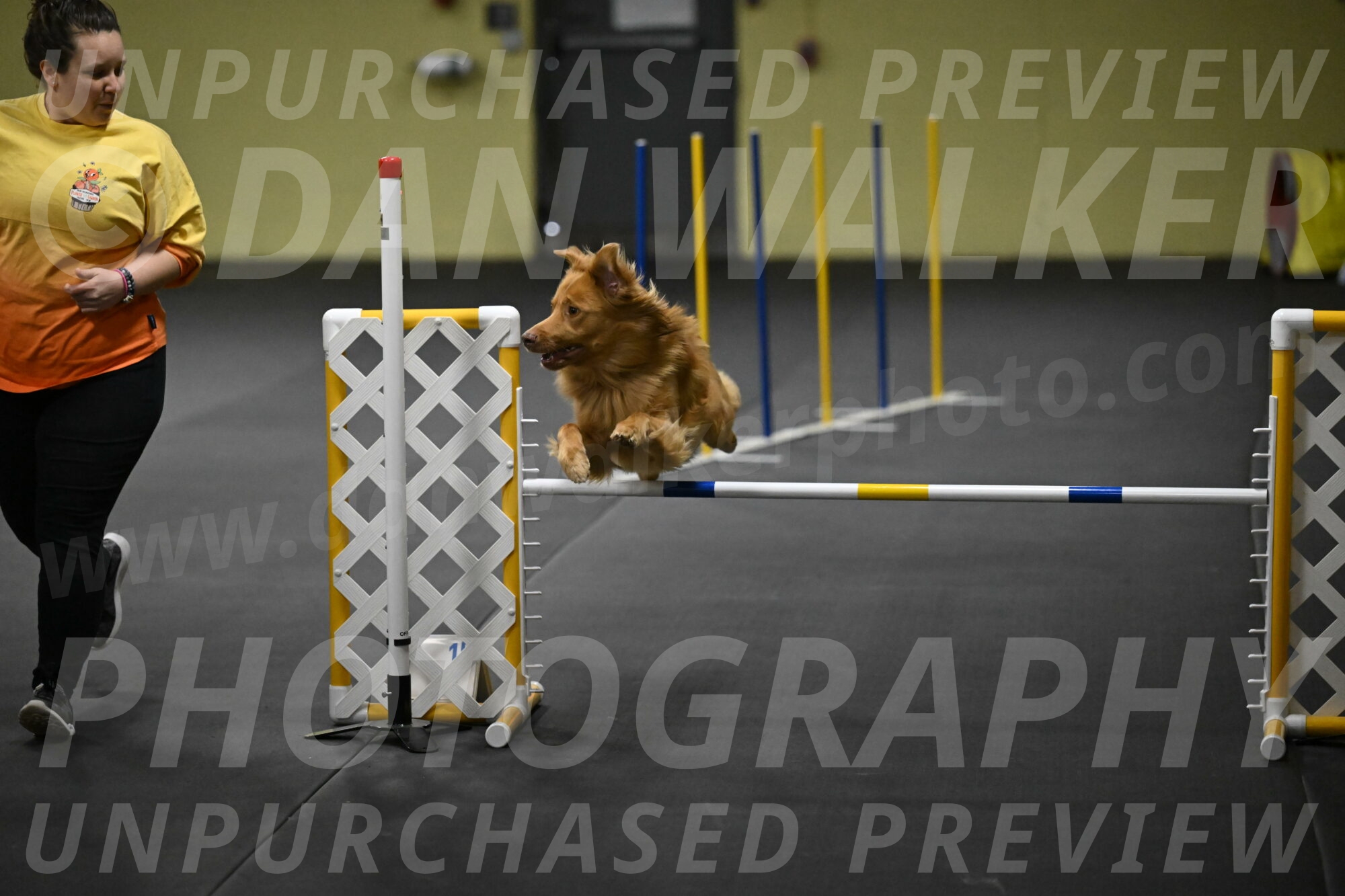 Zippity-Nemeth-12566