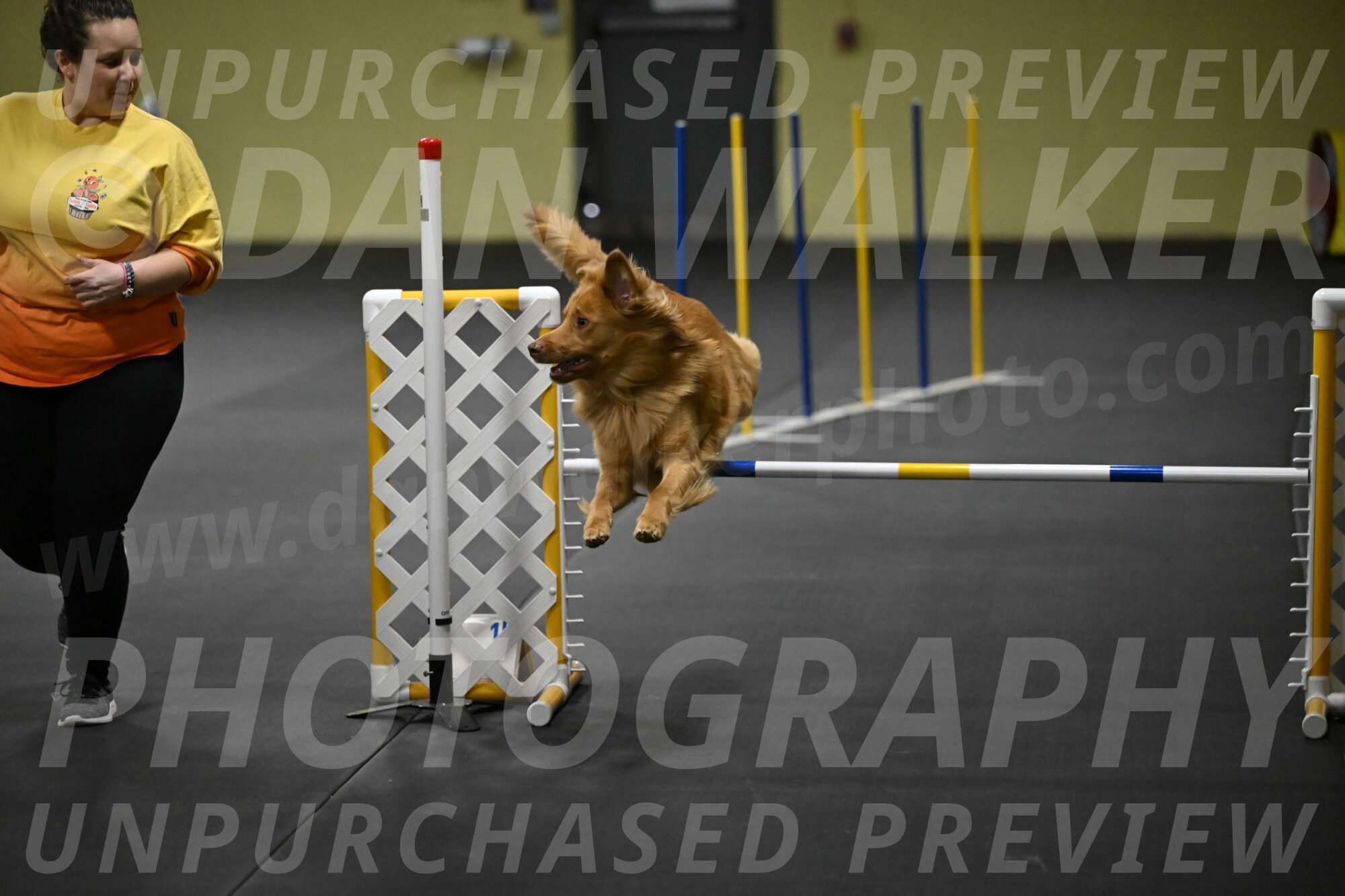 Zippity-Nemeth-12567