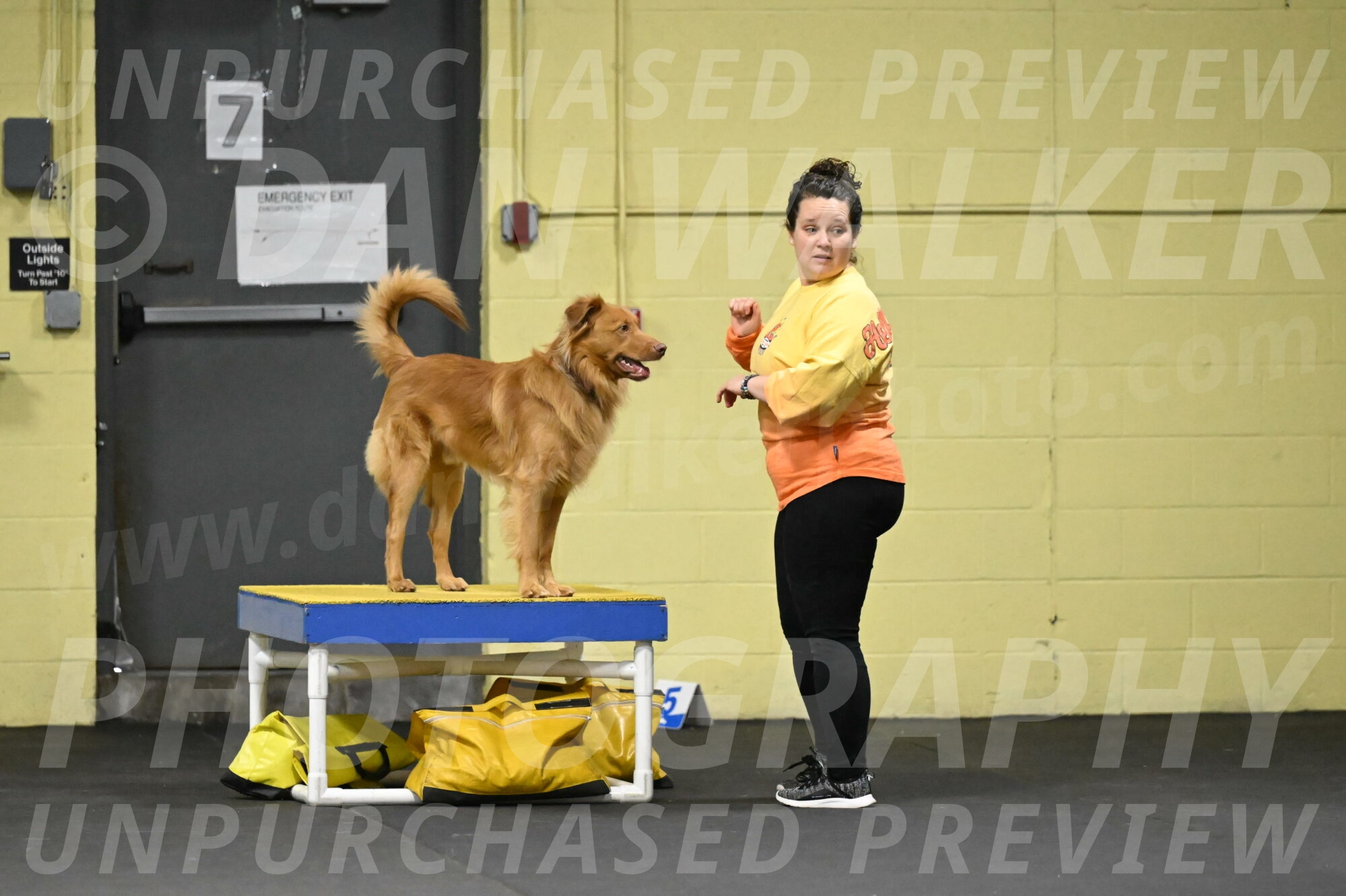 Zippity-Nemeth-12573