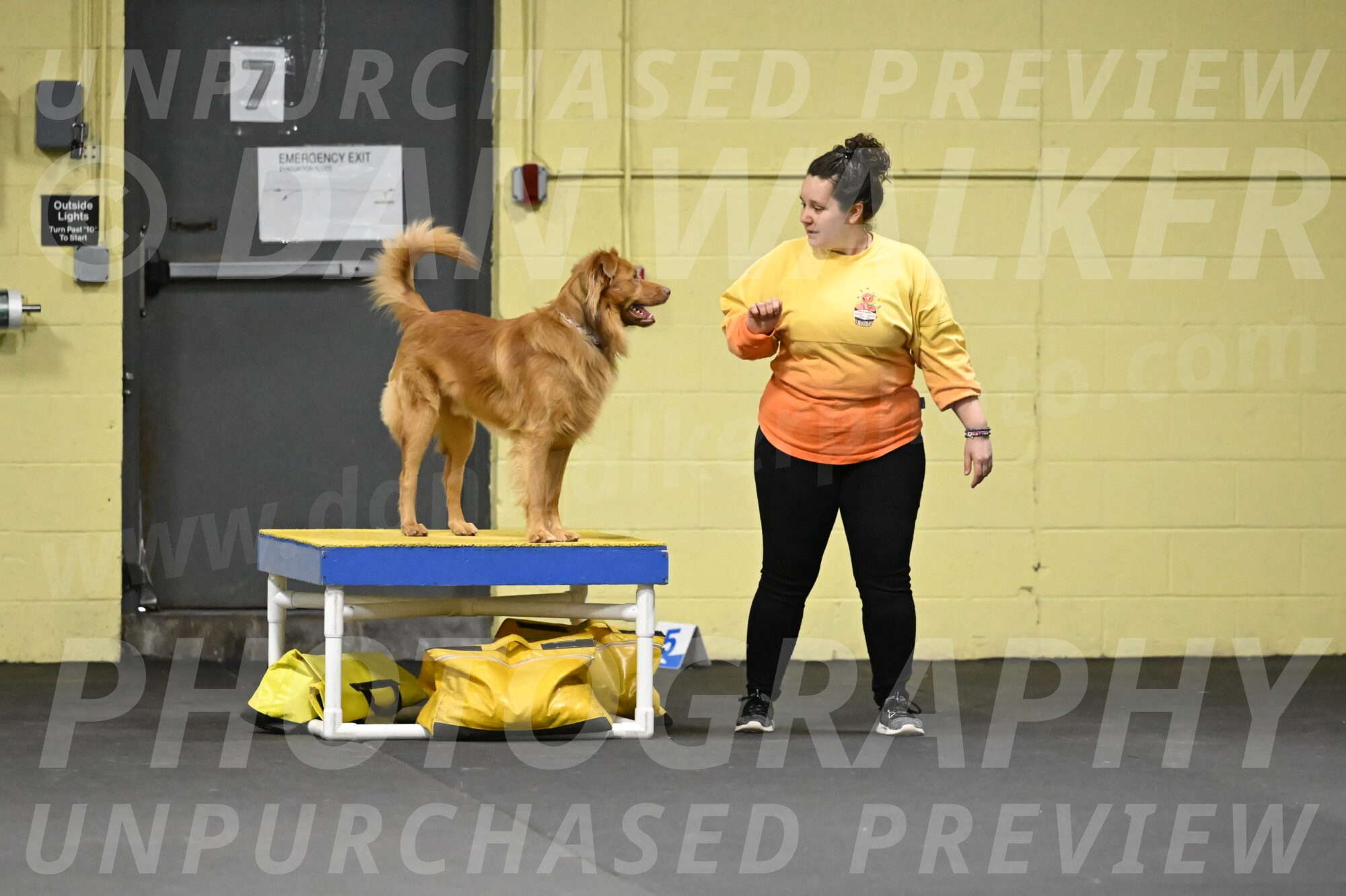 Zippity-Nemeth-12580