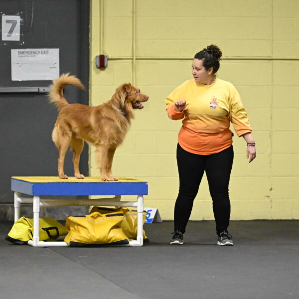 Zippity-Nemeth-12580