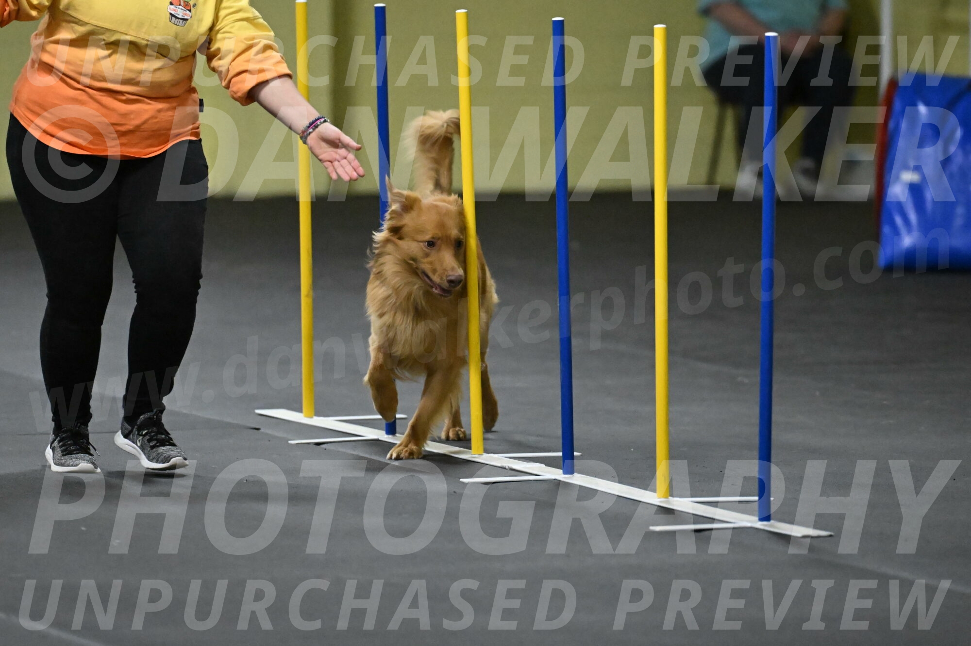 Zippity-Nemeth-12591