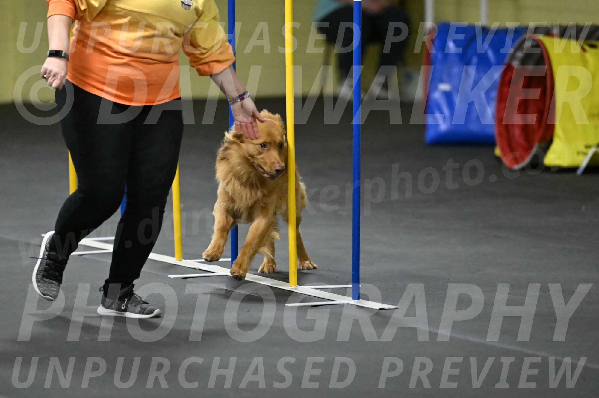 Zippity-Nemeth-12600