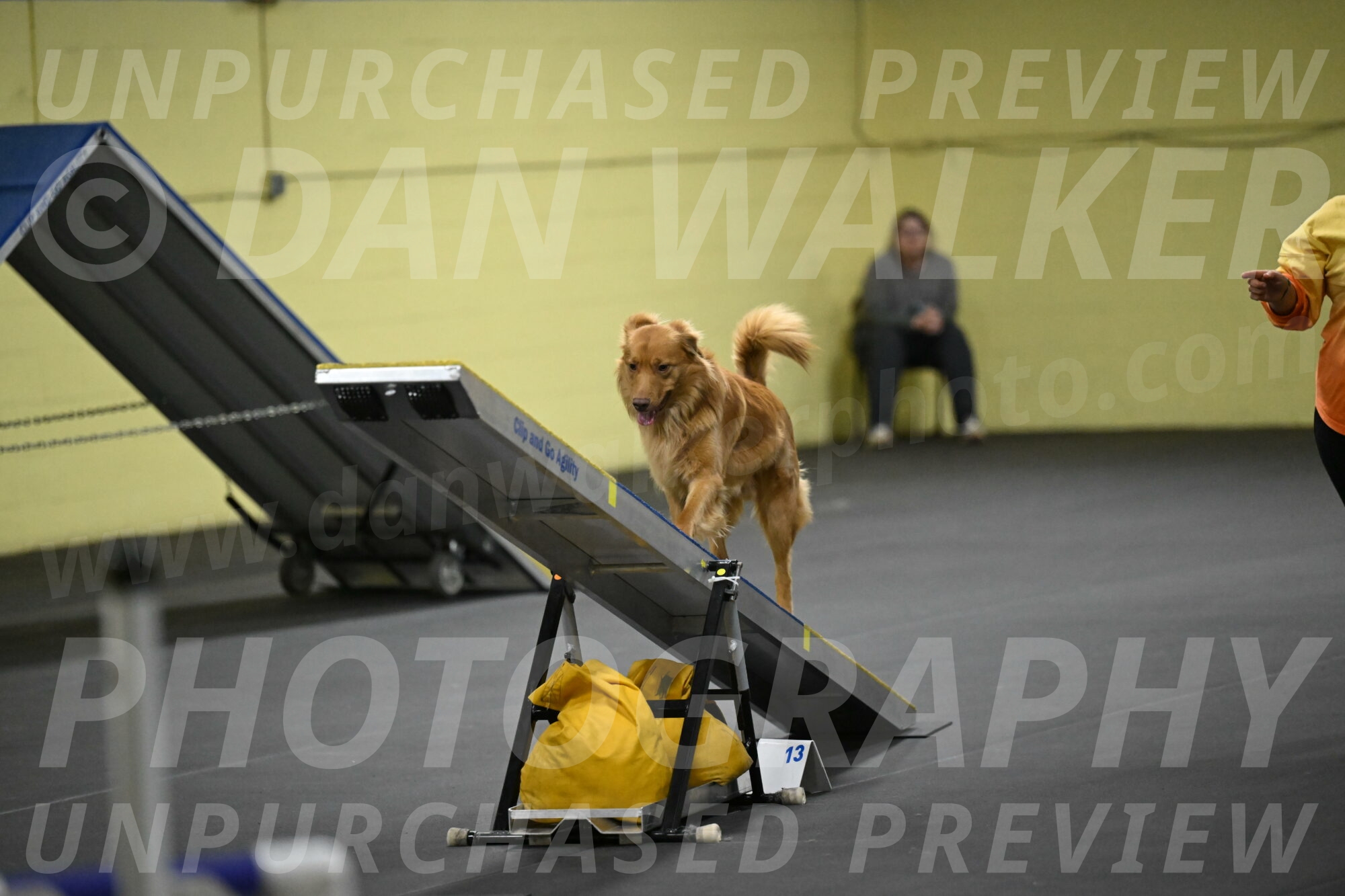 Zippity-Nemeth-12619