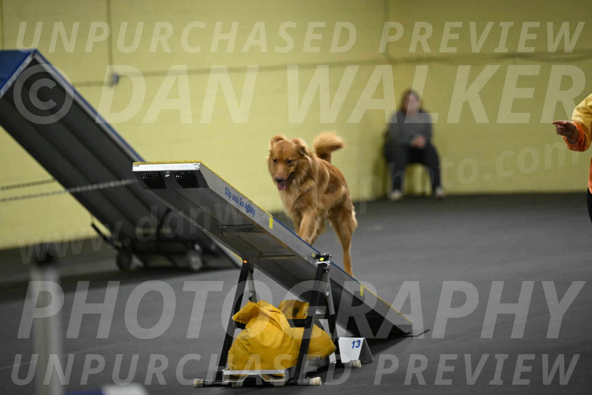 Zippity-Nemeth-12620