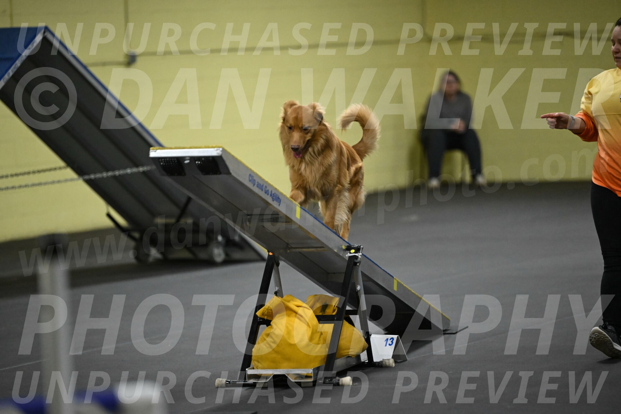 Zippity-Nemeth-12623